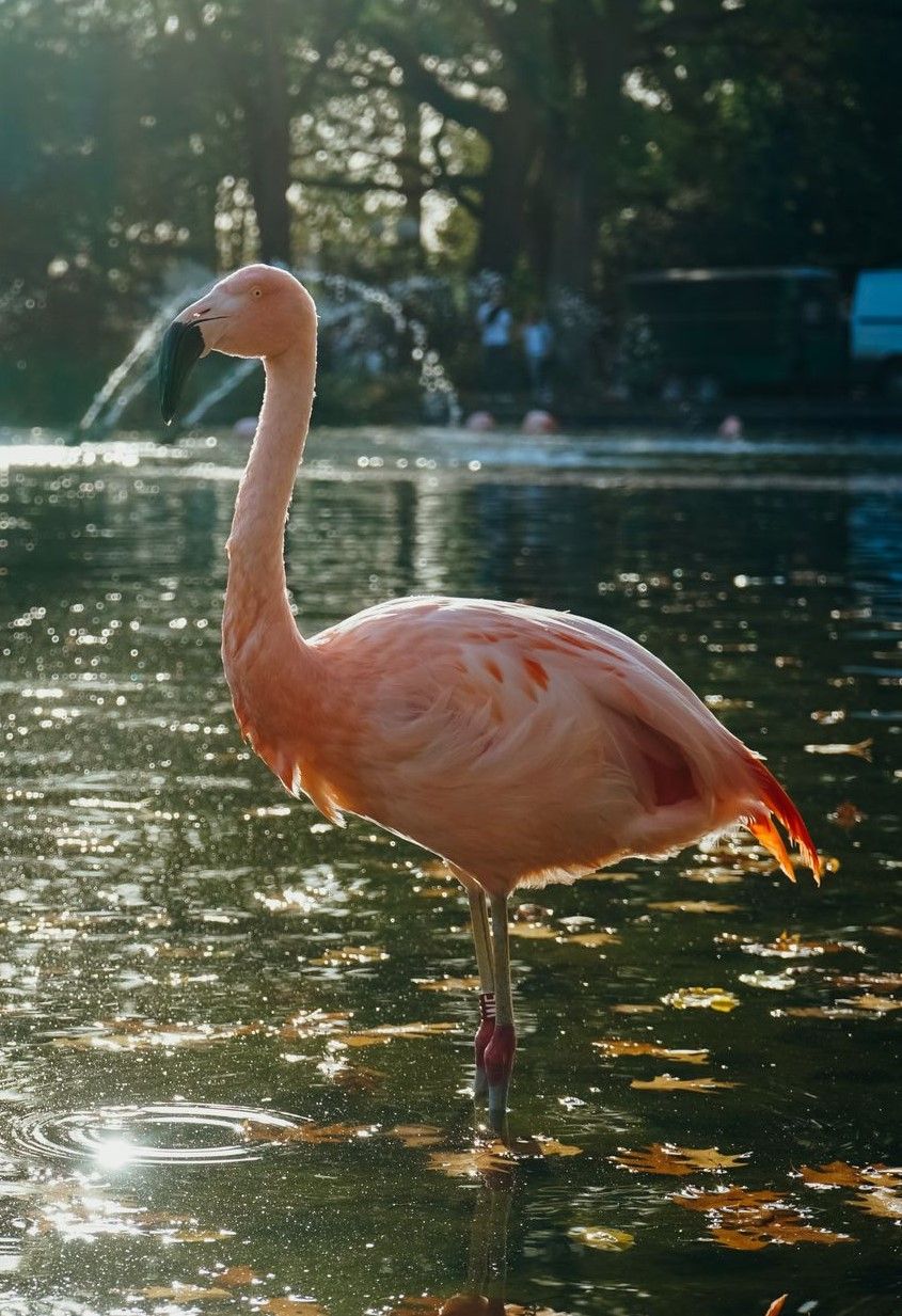 Freier Eintritt in Westfalenpark und Zoo für Kinder und Jugendliche in den Ferien beschlossen